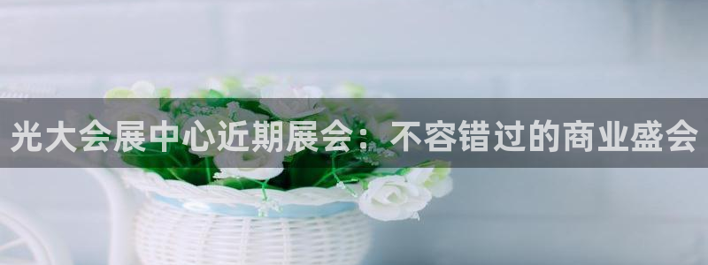 苹果电脑怎么下载博弈大师等软件：光大会展中心近期展会：不容错过的商业盛会